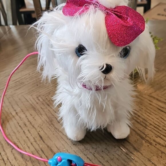 Guru pets walking, barking Maltese dog - Picture 8 of 8